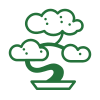 icons8-bonsai-100