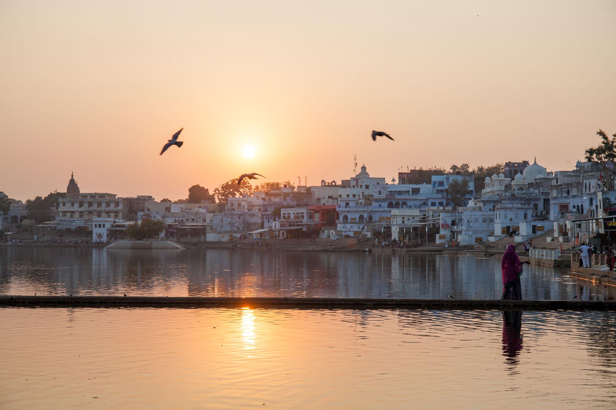 pushkar1